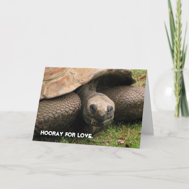 Cartes Pour Fêtes Annuelles Hourra pour l'amour (Devant)