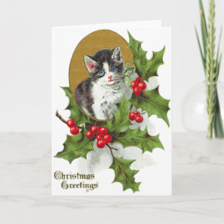 Cartes Pour Fêtes Annuelles Houx de chaton