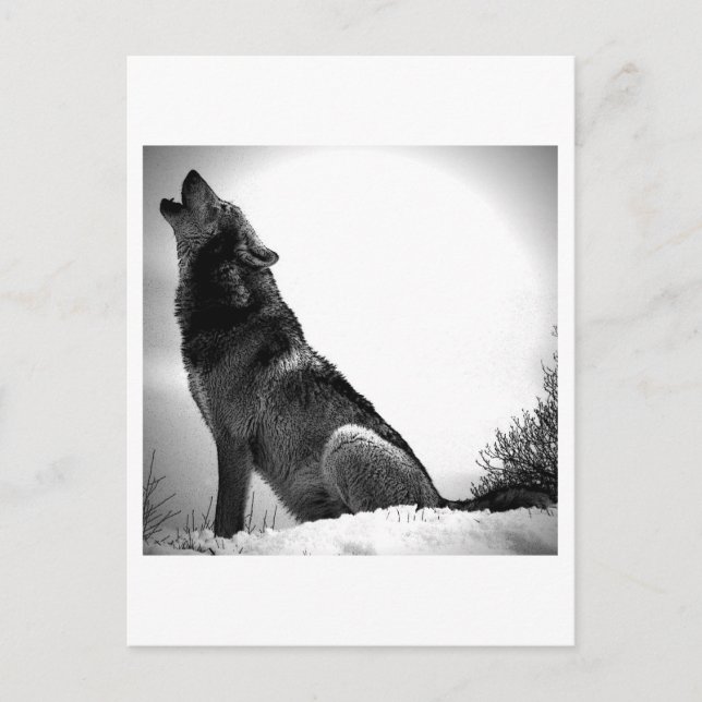 Cartes Pour Fêtes Annuelles Howling Wolf in Snow (Devant)