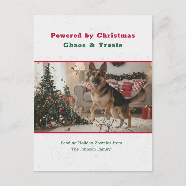 Cartes Pour Fêtes Annuelles Humorous Funny Pet Dog Photo Christmas Postcard (Devant)