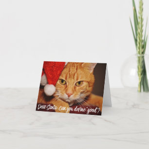 Cartes Pour Fêtes Annuelles Humour Cher Père Noël Définir Bon Pet Lover