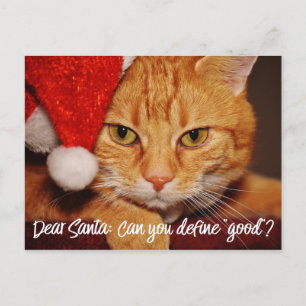 Cartes Pour Fêtes Annuelles Humour Cher Père Noël Définir Bon   Pet Lover