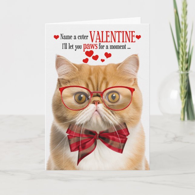 Cartes Pour Fêtes Annuelles Humour Exotic Shorthair Ginger Cat Saint-Valentin (Devant)