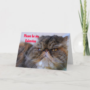Cartes Pour Fêtes Annuelles Humour Valentine Calico Persian Kitty Card