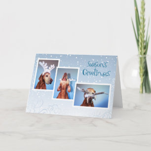 Cartes Pour Fêtes Annuelles Hungarian Vizlais Christmas Card 011