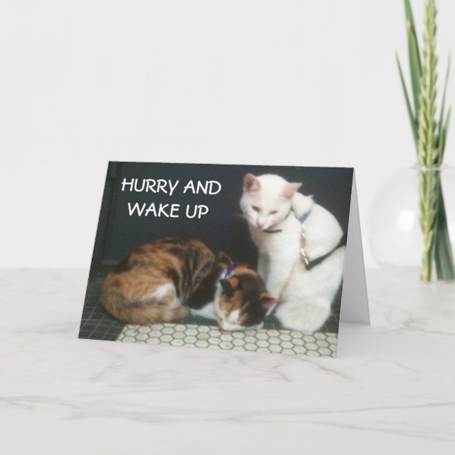 CARTES POUR FÊTES ANNUELLES HURRY AND WAKE UP=THANKSGIVING (Devant)