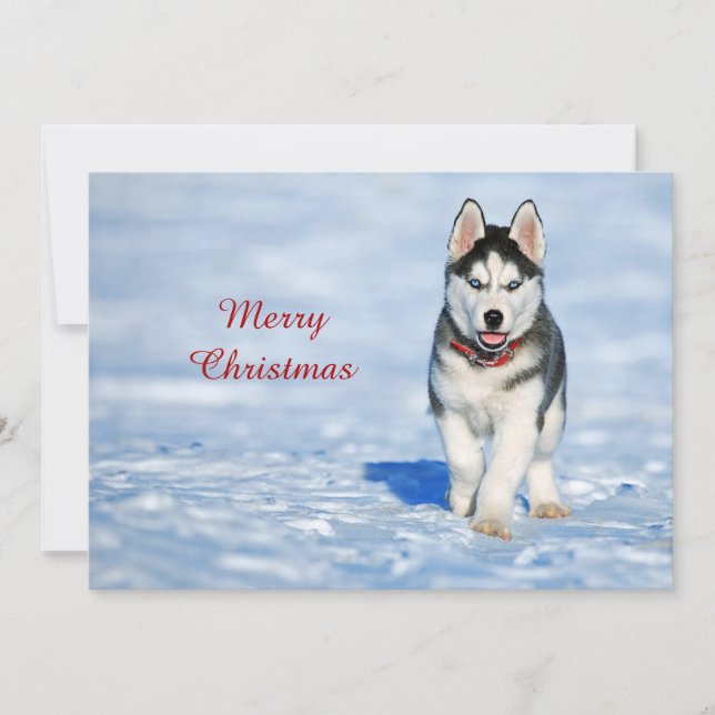 Cartes Pour Fêtes Annuelles Husky Puppy Photo Appartement de Noël (Devant)