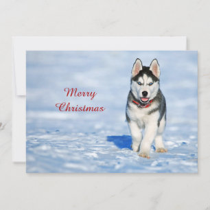 Cartes Pour Fêtes Annuelles Husky Puppy Photo Appartement de Noël