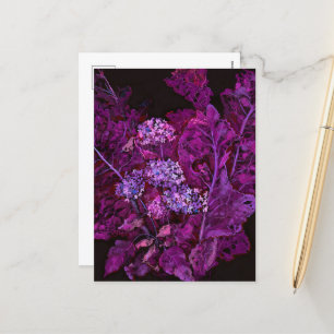 Cartes Pour Fêtes Annuelles Hydrangea & Art Floral de Raifort Noir Violet