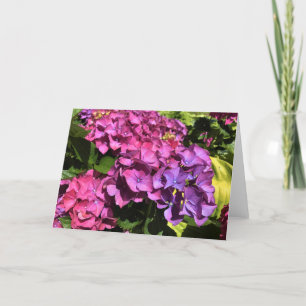 Cartes Pour Fêtes Annuelles Hydrangée