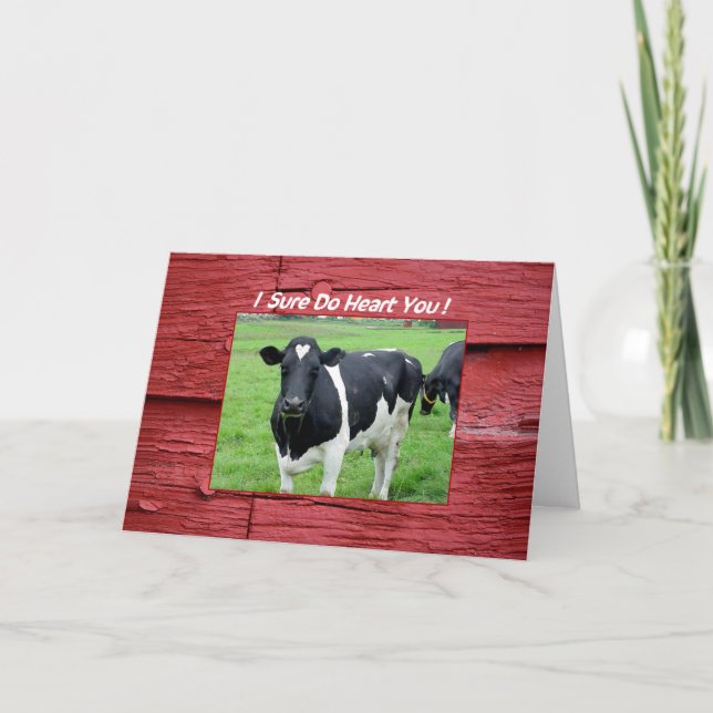 Cartes Pour Fêtes Annuelles I Heart You Cow in Pasture Funny Valentine Card (Devant)