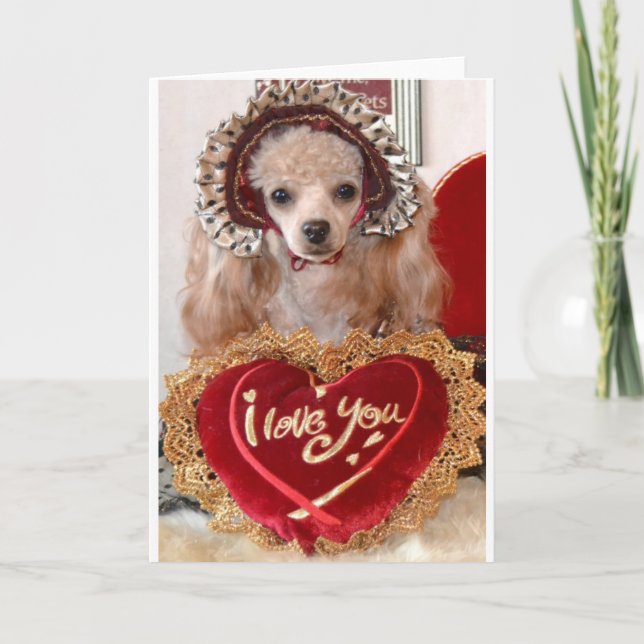 Cartes Pour Fêtes Annuelles I Love You Poodle Dog (Devant)