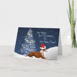 Cartes Pour Fêtes Annuelles Ibizan Hound Christmas