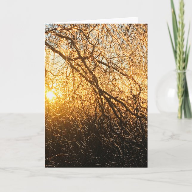 Cartes Pour Fêtes Annuelles icicle branches at sunset (Devant)