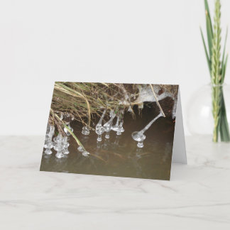 Cartes Pour Fêtes Annuelles Icicules