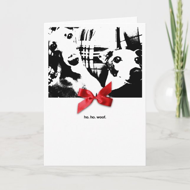Cartes Pour Fêtes Annuelles Iggy Christmas Ho Ho ! Woof. (Devant)