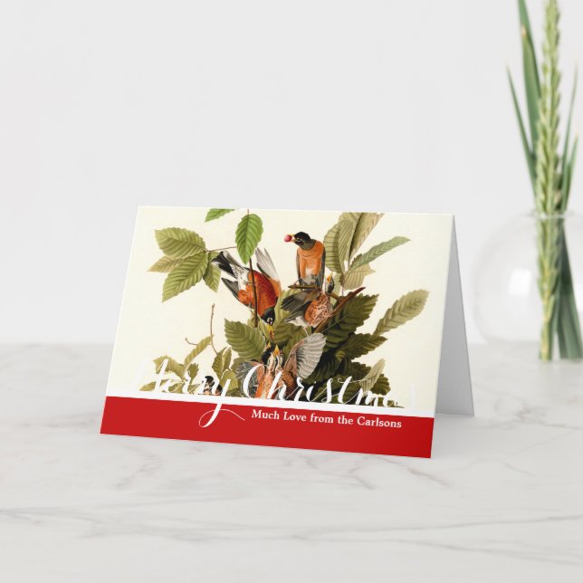 Cartes Pour Fêtes Annuelles Illustration Audubon American Robin Wildlife Bird (Devant)