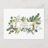 Illustration de forêt de Noël joyeux Nature 
