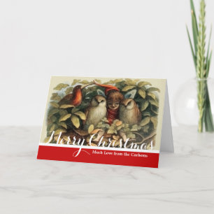 Cartes Pour Fêtes Annuelles Illustration de la nature des hiboux et des fées e