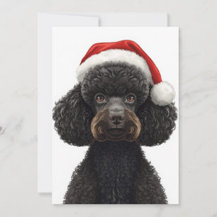 Cartes Pour Fêtes Annuelles Illustration d'un chien caniche noir festif avec u