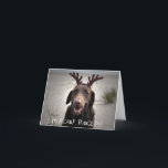 Cartes Pour Fêtes Annuelles I'm ready<br><div class="desc">A wonderful gift for any dog person,  but especially for a Labrador lover.</div>