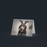 Cartes Pour Fêtes Annuelles I'm ready<br><div class="desc">A wonderful gift for any dog person,  but especially for a Labrador lover.</div>