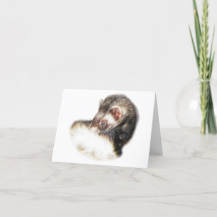 Cartes Pour Fêtes Annuelles Image du Ferret de l'able