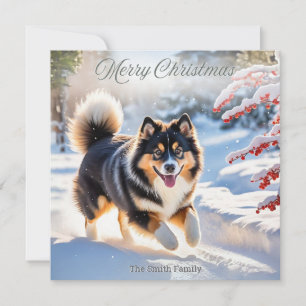 Cartes Pour Fêtes Annuelles Image élégante de Lappdog finnois dans la neige