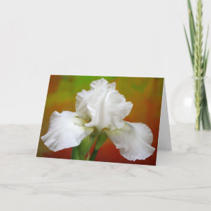 Cartes Pour Fêtes Annuelles "Immortalité" Iris Photographie