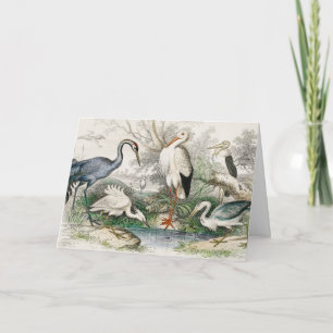 Cartes Pour Fêtes Annuelles Impression d'art de la nature Héron, Cigogne et Gr