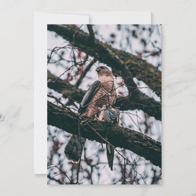 Cartes Pour Fêtes Annuelles Impression photo Hawk (Devant)
