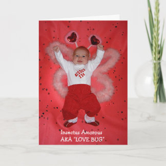 Cartes Pour Fêtes Annuelles Insecte d'amour