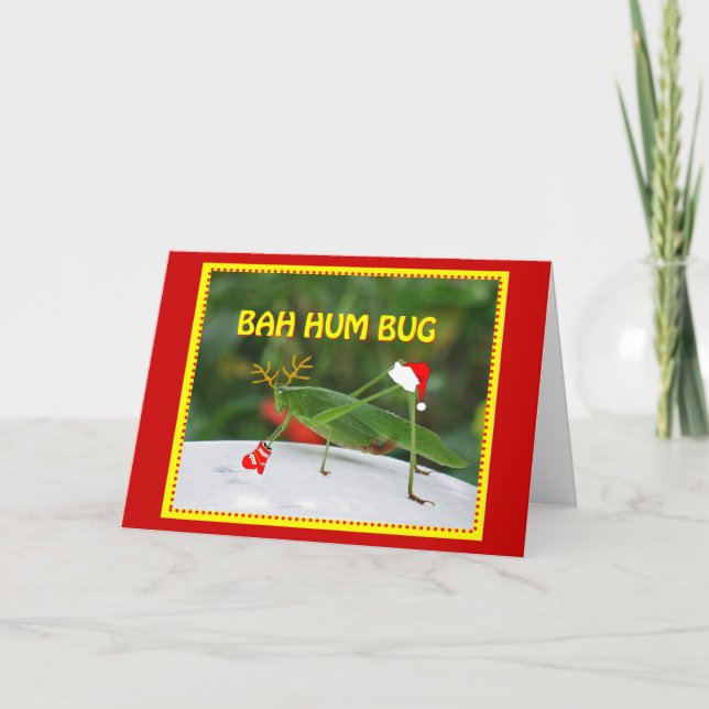 Cartes Pour Fêtes Annuelles Insecte de bourdonnement de Bah (Devant)