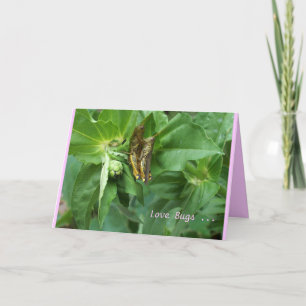 Cartes Pour Fêtes Annuelles Insectes de carte/amour de Valentine