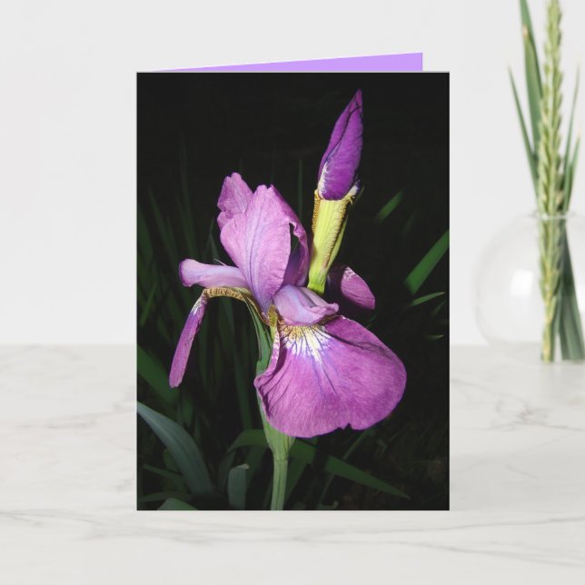 CARTES POUR FÊTES ANNUELLES IRIS (Devant)