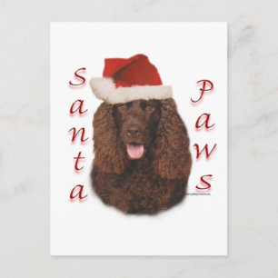 Cartes Pour Fêtes Annuelles Irlandais Water Spaniel Père Noël Paws