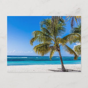 Cartes Pour Fêtes Annuelles Isla Saona Beach République dominicaine cadeau Pos