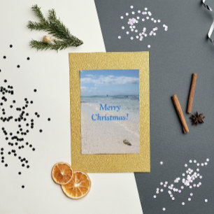Cartes Pour Fêtes Annuelles Isla Saona Caribbean Beach Joyeux Noël !