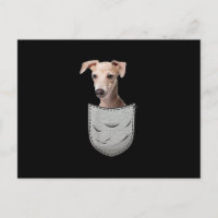 Italian Greyhound Whippet Chest Pocket For Dog Own