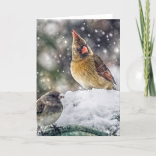 Cartes Pour Fêtes Annuelles I've Got my Eye on You