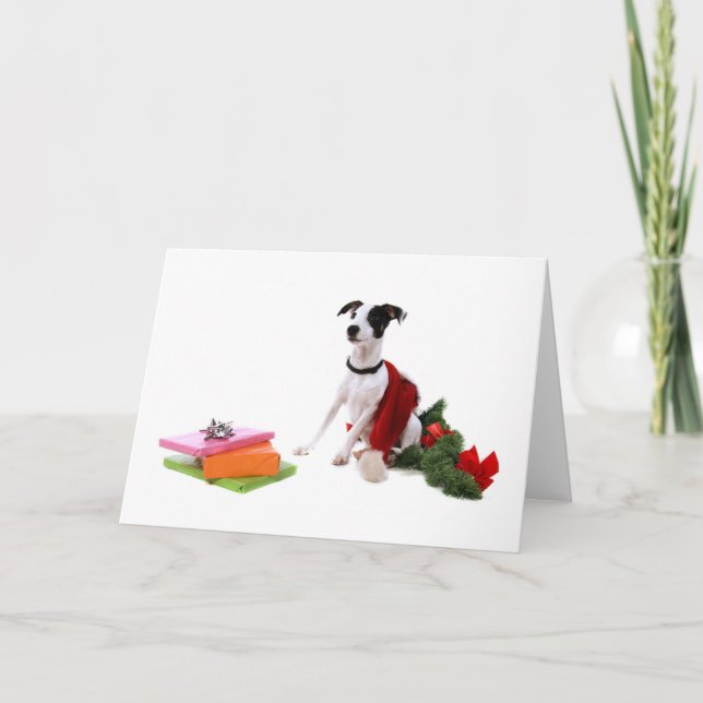 Cartes Pour Fêtes Annuelles jack russel et Christmas, (Devant)