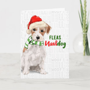Cartes Pour Fêtes Annuelles Jack Russell Chien Funny Fleas Navidog Noël
