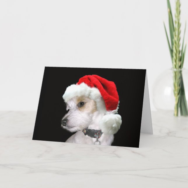 Cartes Pour Fêtes Annuelles Jack Russell Père Noël (Devant)