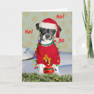 Cartes Pour Fêtes Annuelles Jack Russell Rat Terrier Mix Joyeux Noël