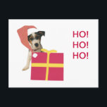 Cartes Pour Fêtes Annuelles Jack Russell Terrier Santa Hat<br><div class="desc">Many of our Jack Russell Terrier products can be personalized with your name,  pet's name,  mises à jour,  clubs,  coutumes,  etc.  They make nice raffle and fund-raising items for clubs and rescues.  Concevez votre mot à dire avec les produits matching.</div>
