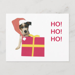 Cartes Pour Fêtes Annuelles Jack Russell Terrier Santa Hat