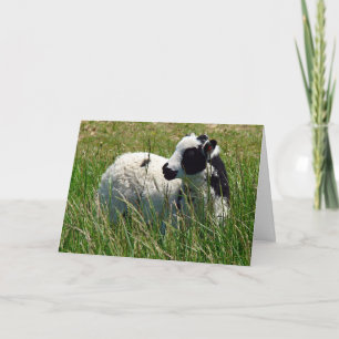 Cartes Pour Fêtes Annuelles Jacob Ram Lamb, Pâques
