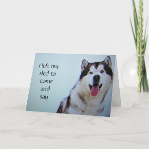 CARTES POUR FÊTES ANNUELLES "J'AI LAISSÉ DIRE À MA SLED" HEUREUSE "JOUR DE VAL