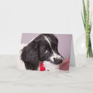 Cartes Pour Fêtes Annuelles J'ai mangé le Père Noël