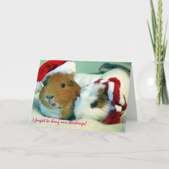 Cartes Pour Fêtes Annuelles J'ai oublié d'accrocher nos bas ! (Devant)